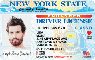 New York sample drivers license